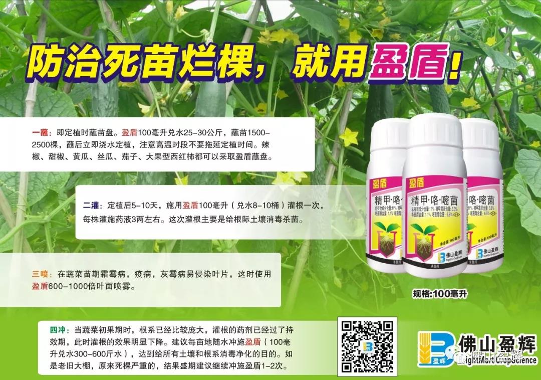 盈盾:强根护苗,省钱省心 盈盾:强根护苗,省钱省心